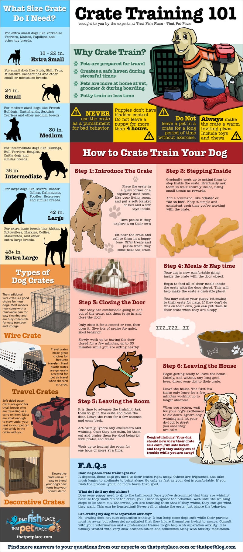 How to Crate Train a Dog: Step-by-Step Instructions