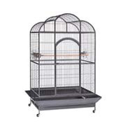 Large Parrot Cages