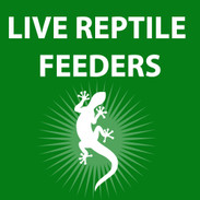 Live Reptile Feeders