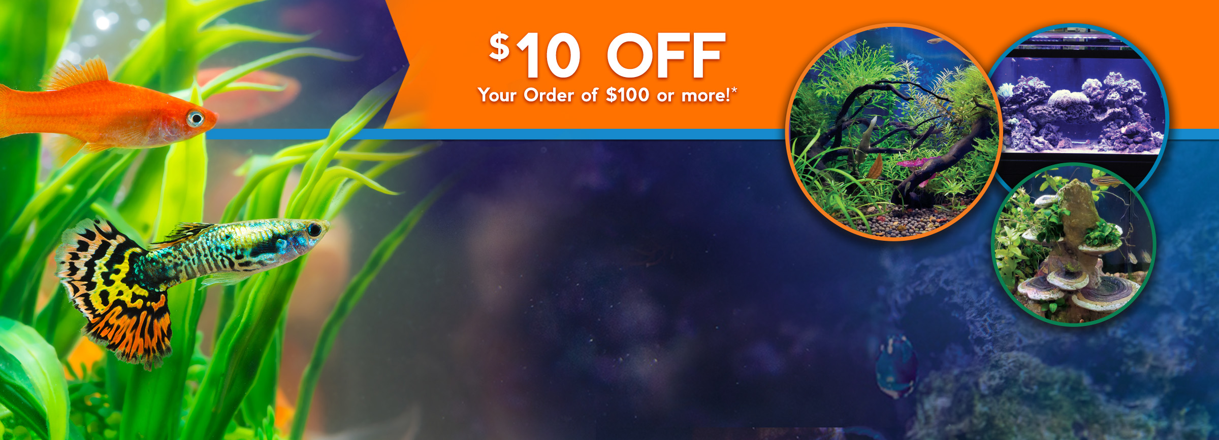 Save $10 off Your Order of $100 or More! Use Promo Code: SITEWIDE10
