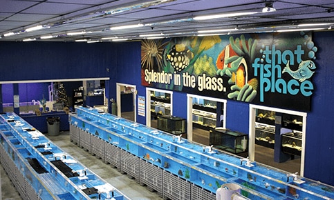 fish and aquarium stores near me