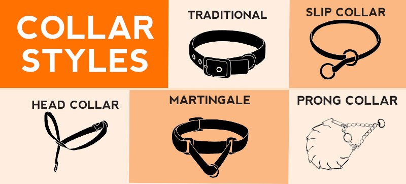 types of dog leashes and harnesses