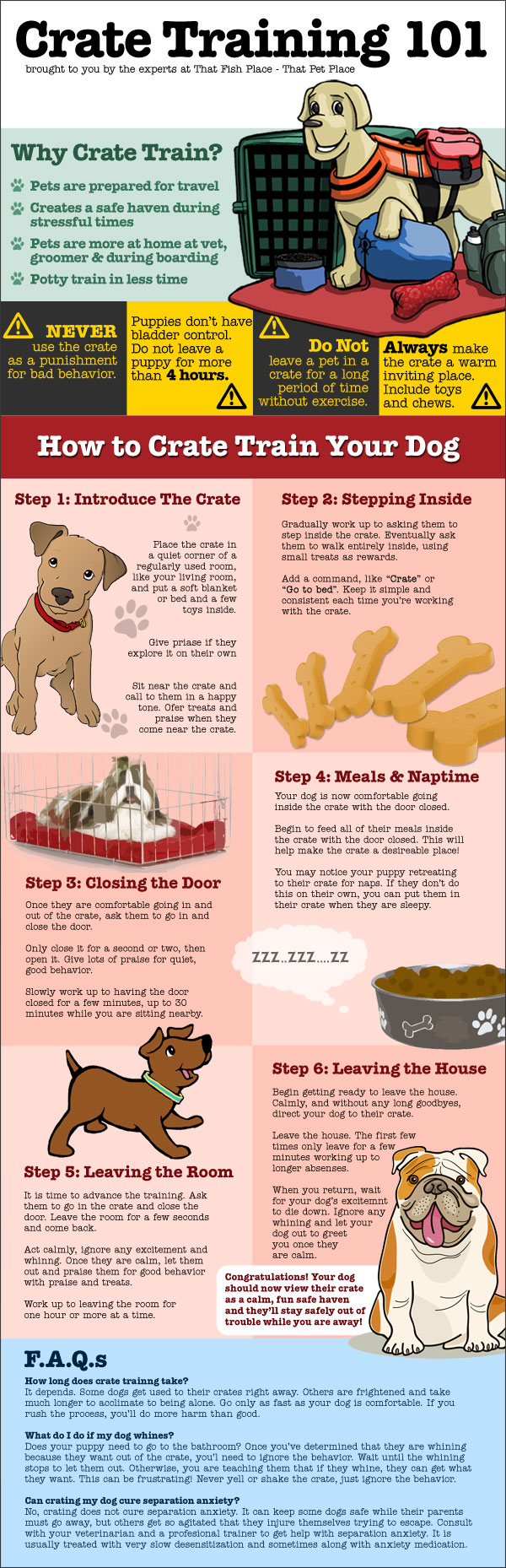 Crate Training Your Dog