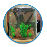 explore our store glass