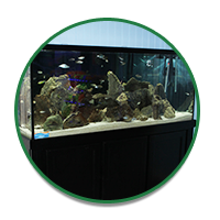 explore our store glass