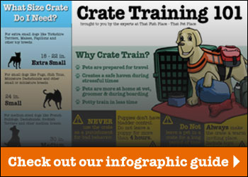 do i need a crate for my dog