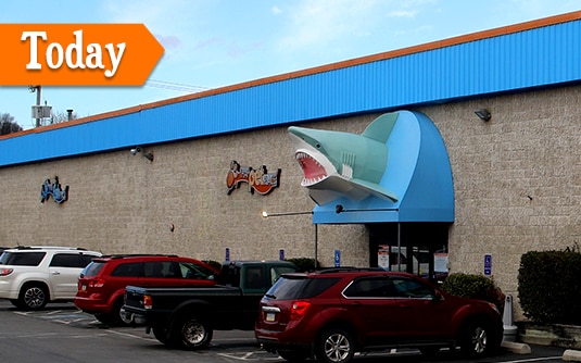 about our company that