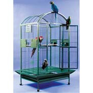 Medium Parrot Cages
