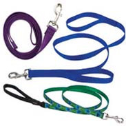 Dog Leashes & Leads