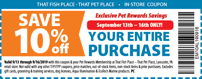 wss coupons 2018 in store