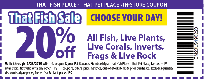 retail store coupons