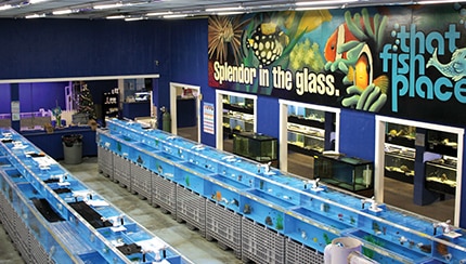 tropical fish room