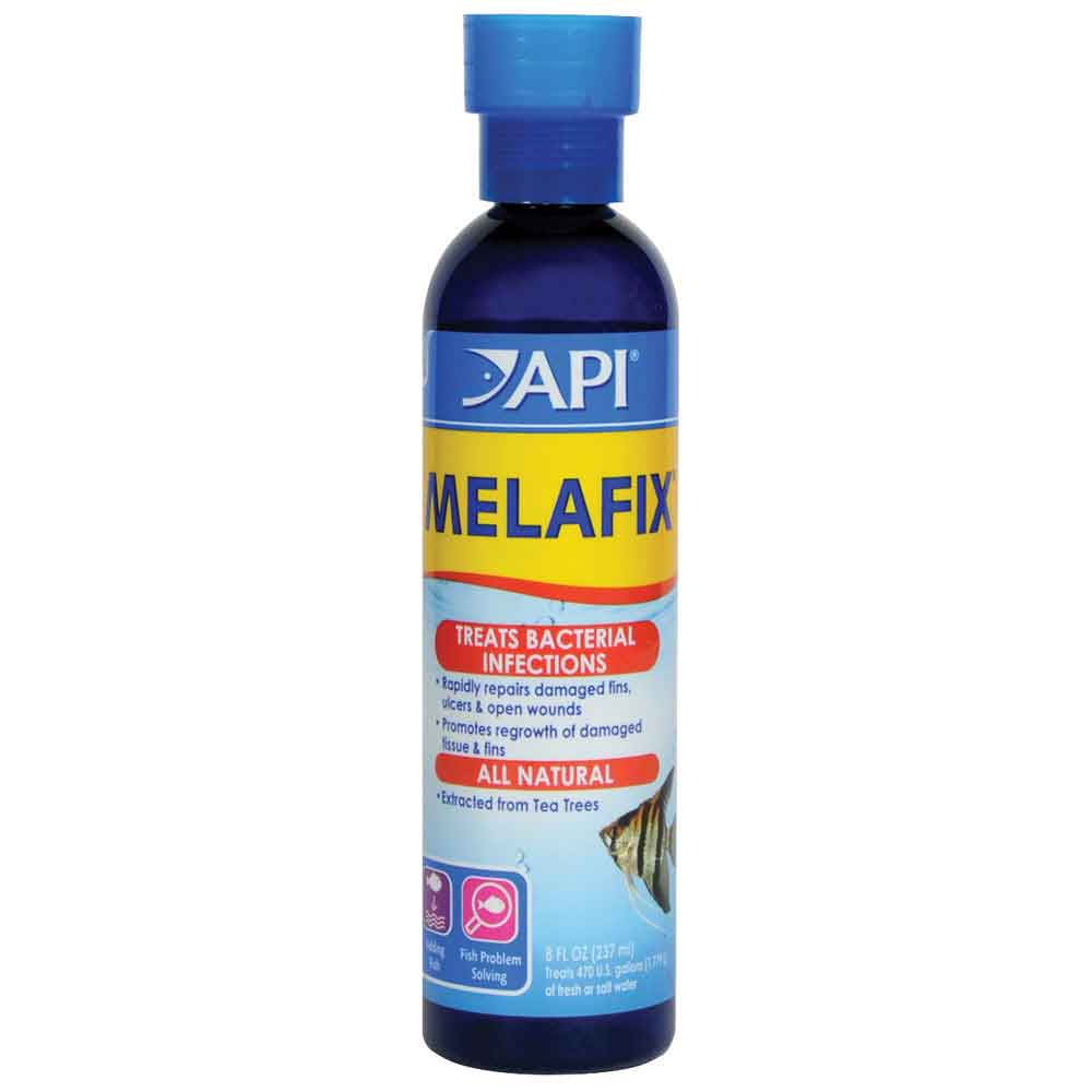 199596_1.jpg?resizeid=2&