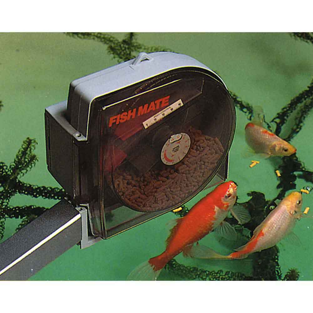 fish mate pond feeder