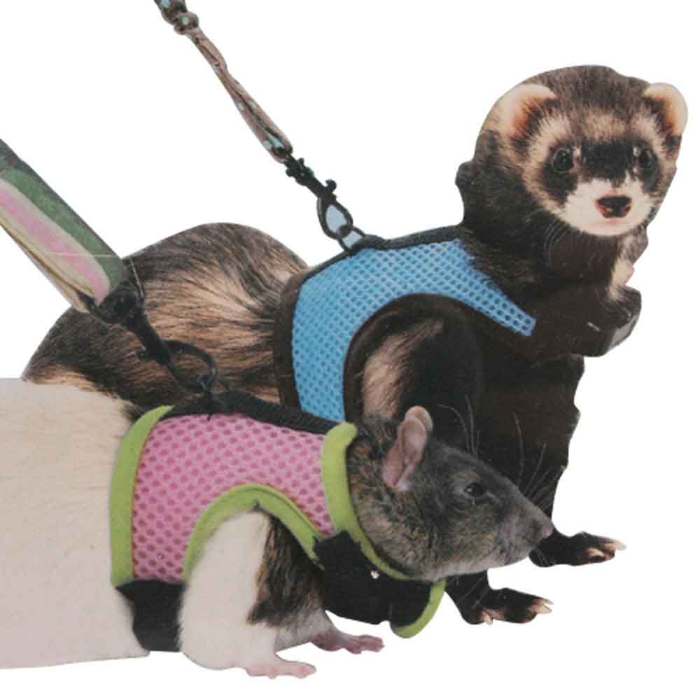 Kaytee Cofort Harness And Stretch Leash Sall : Aazon.co.uk