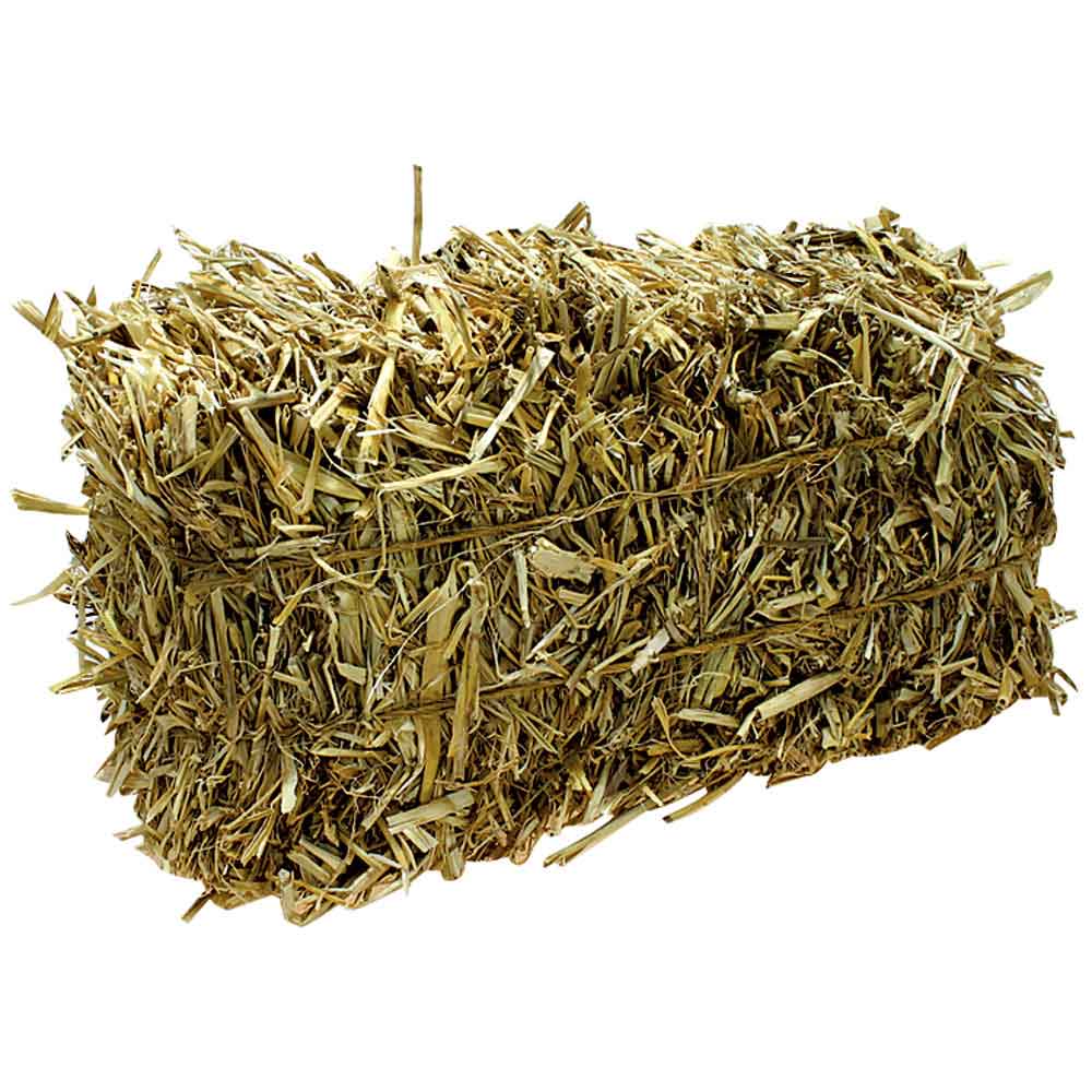 Barley Straw MiniBale 4.5 in. x 6 in. x 12 in.