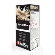 Aiptasia x Aiptasia x