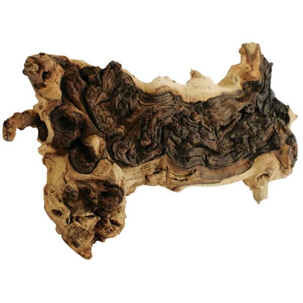 Aquatic African Mopani Wood - Large - 14 in. to 18 in.