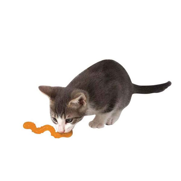 wiggle worm cat toy