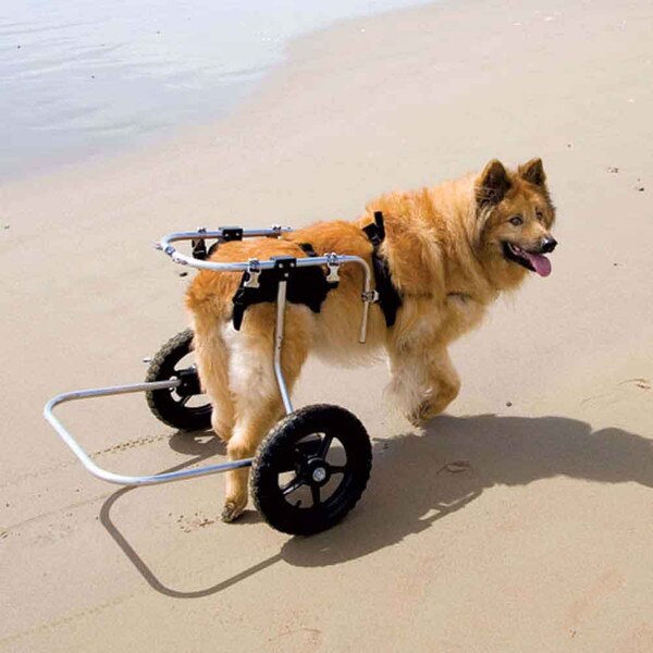 Best Friends Mobility Dog Wheelchair Small