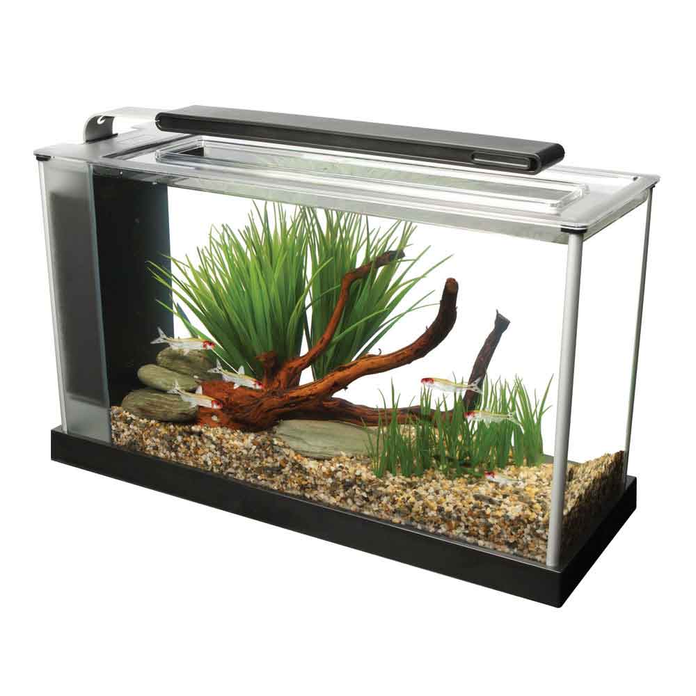 Fluval Spec V Aquarium Kit Black 5gal