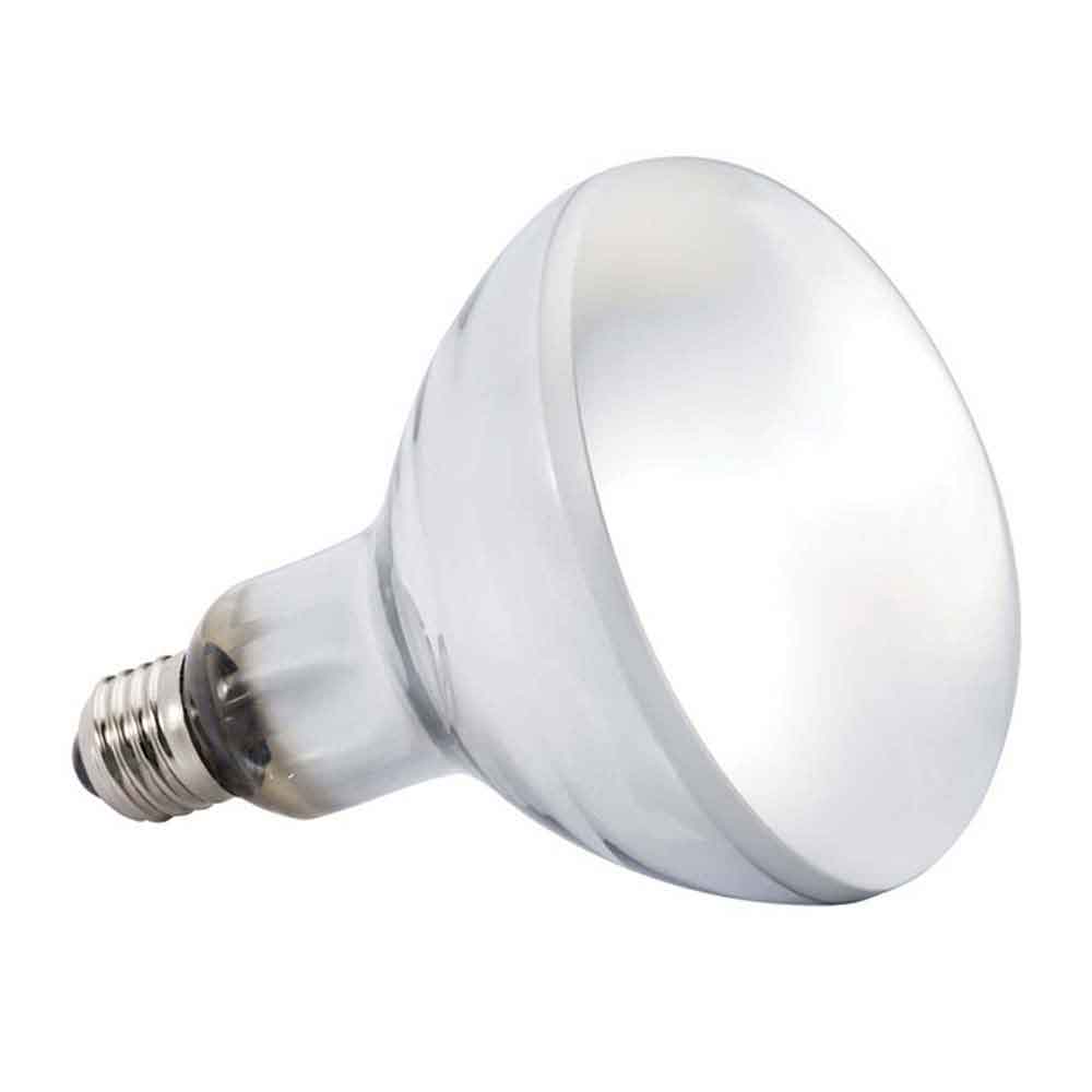 Exo Terra - Solar-Glo Mercury Vapor Lamp 125W | thatpetplace.com