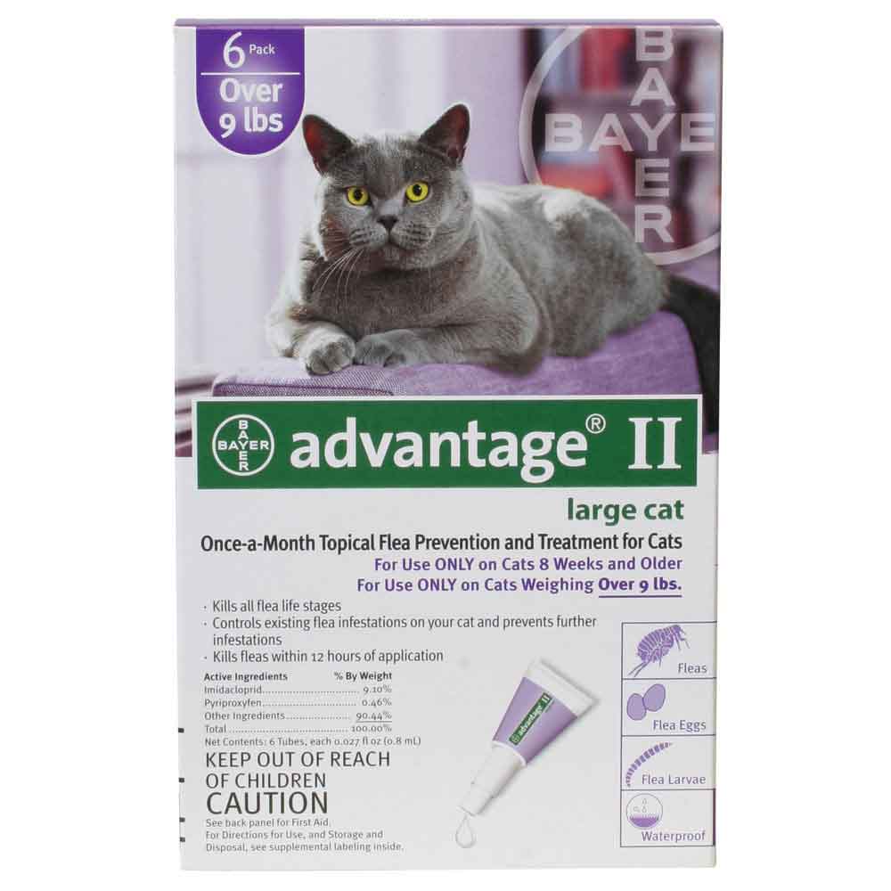 advantage ii large cat 6 pack