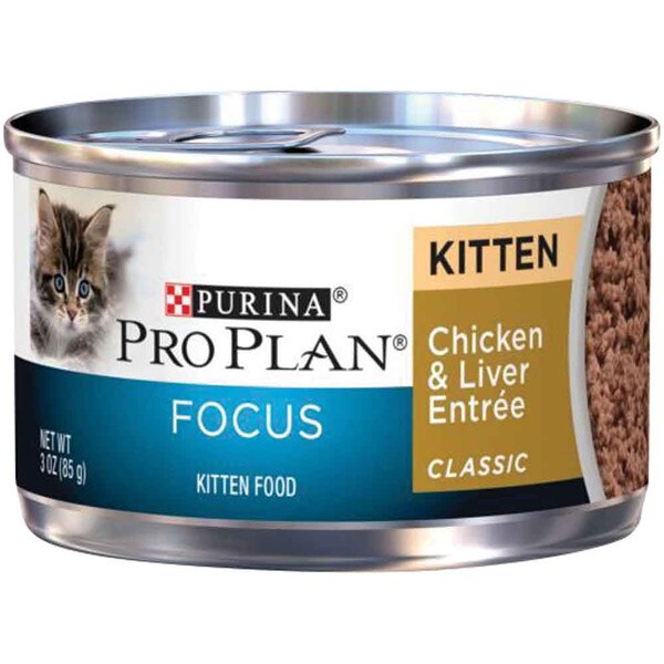 Purina - Pro Plan Focus Chicken/Liver Kitten Food 3oz | thatpetplace.com - Kitten Food With Chicken Liver And Probiotic Powder
