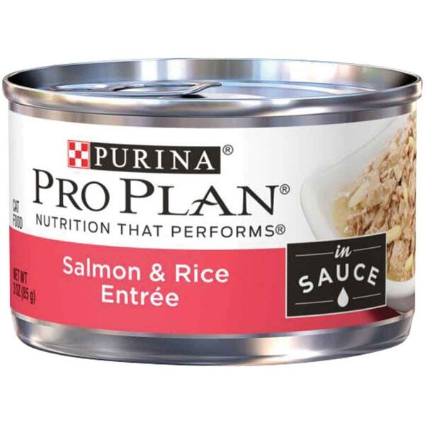 Pro Plan Salmon & Rice Cat Food 3 oz.