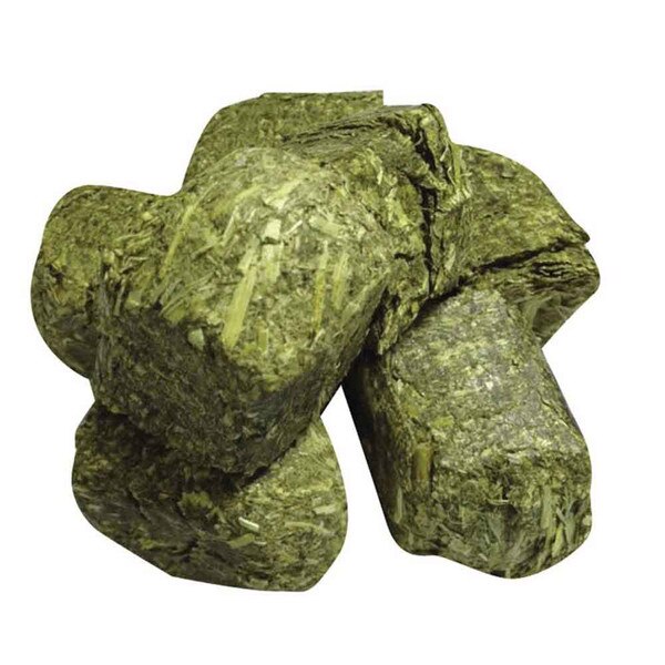 Brown's Timothy Hay Cubes - 10 oz. | That Pet Place