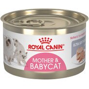 Royal Canin Mother Babycat Mousse 5 8 Oz Thatpetplace Com