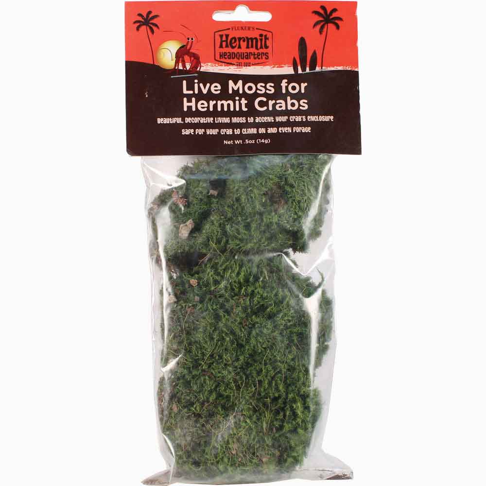 hermit crab bedding