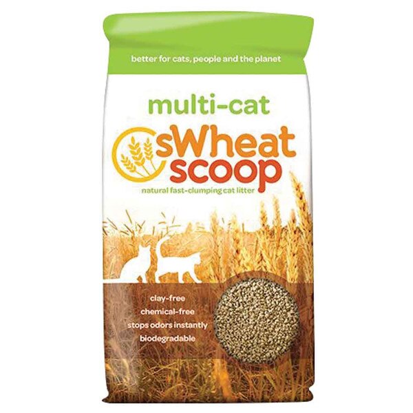 Swheat Scoop Wheat Litter MultiCat 36 lb.
