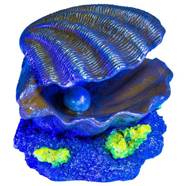 Clam Aquarium Ornament