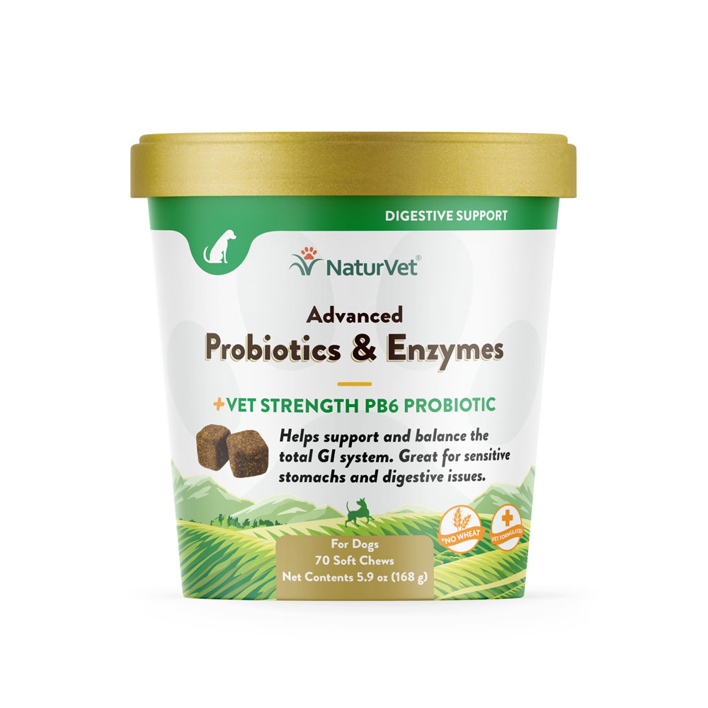 Advanced Probiotics & Enzymes Plus 70ct