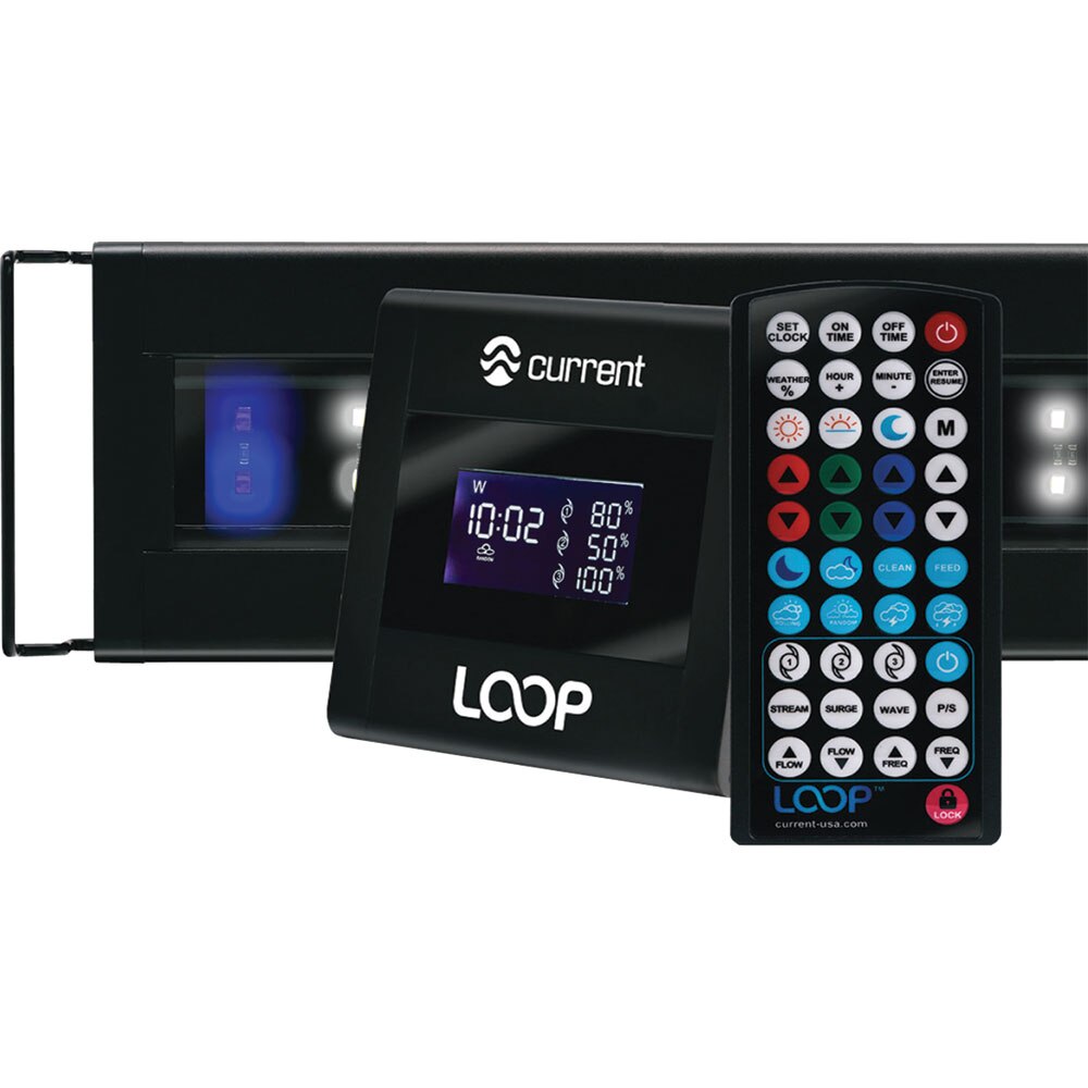 orbit login orbit login