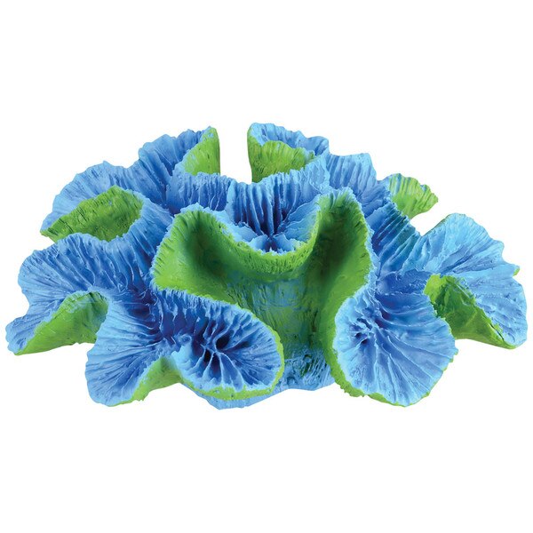 Open Brain Coral - Blue - Large | thatpetplace.com