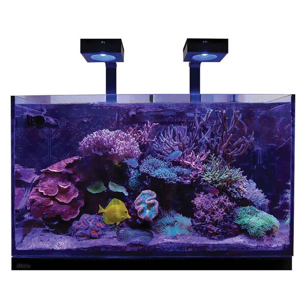 reefer aquarium sea system thatpetplace pinit gal