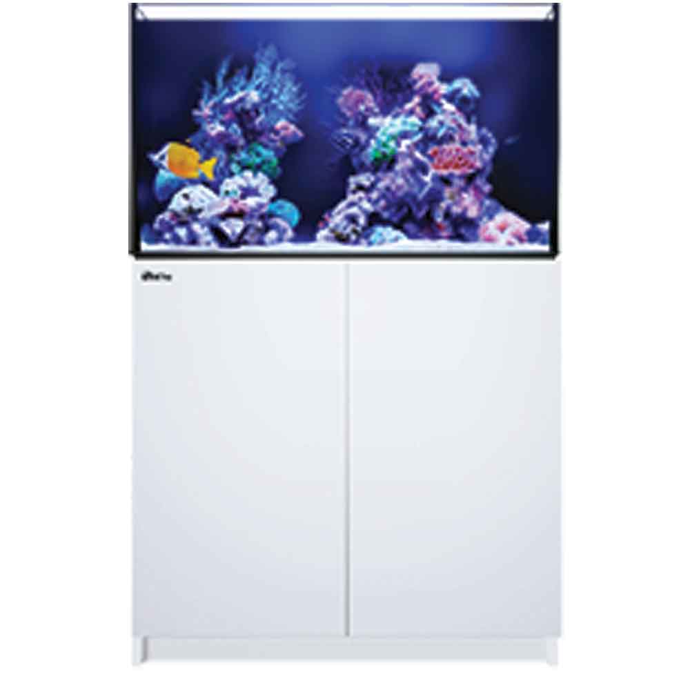 Red Sea Reefer 250 Aquarium System White 65 Gal Thatpetplace Com Red Sea Reefer 250 Aquarium System White 65 Gal Thatpetplace Com