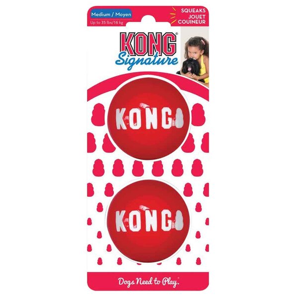 what to put in a kong ball