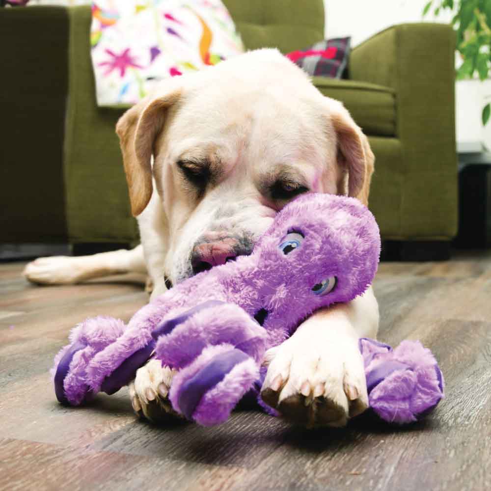 KONG SoftSeas Plüsch-Spielzeug Für Hunde – Schildkröte Mit Quietscher & Knisterfolie, Ideal Zum Schütteln & Kuscheln
