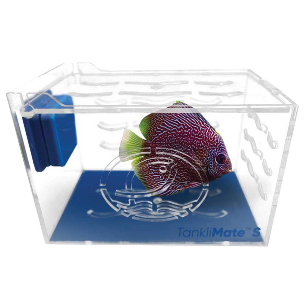 Eshopps TankliMate Nano Acclimation Box