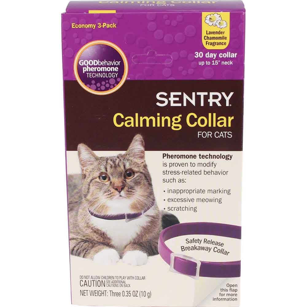 behavior collar for cats