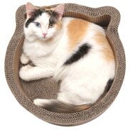Cat Beds For Sale Modern Cat Bed Thatpetplace Com