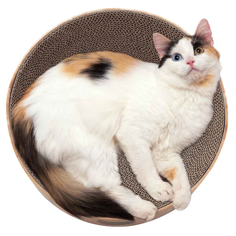 Moon-X - Cozy Cat Scratcher Bowl | thatpetplace.com