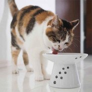 Necoichi Raised Cat Food Bowl Extra Wide Thatpetplace Com