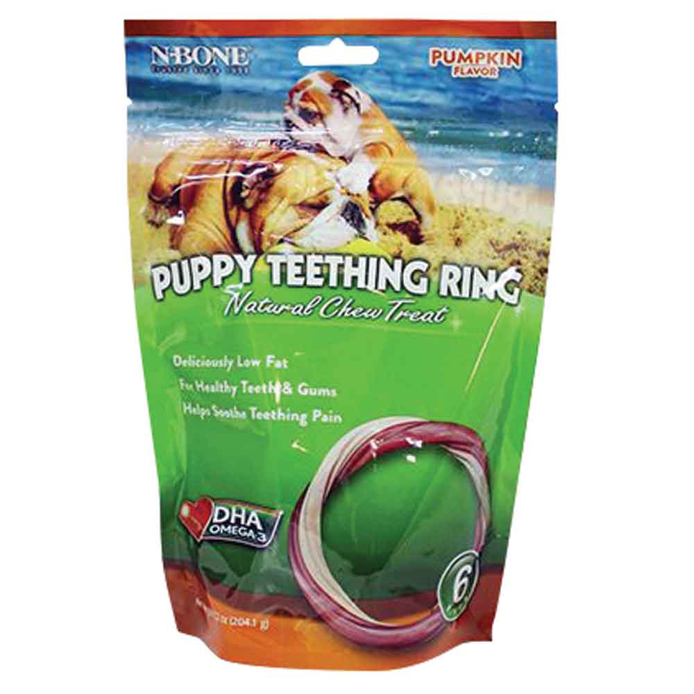 NBone Puppy Teething Ring Pumpkin 6 Pk