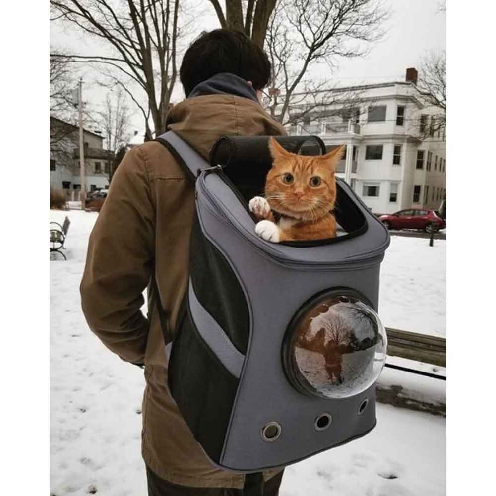 The Fat Cat Cat Backpack - for Larger Cats