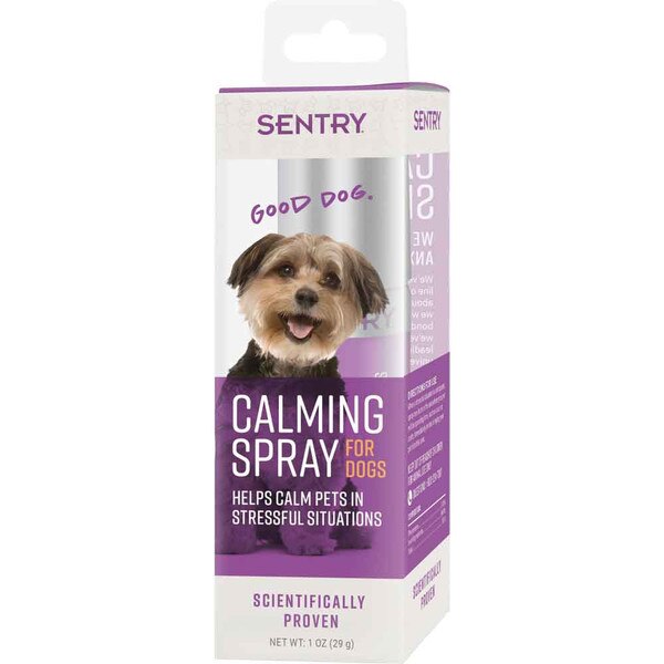 sentry calming bear