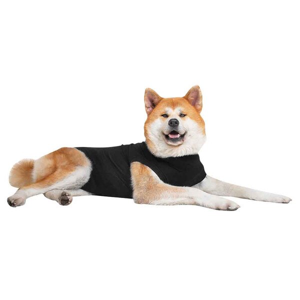 Suitical Black Recovery Suit - Dog - XX-Large | thatpetplace.com